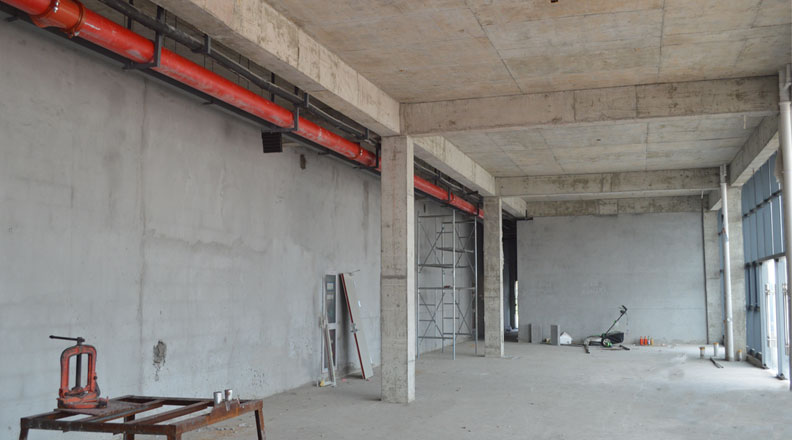 Զ������